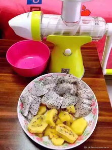 果語榨汁機廠家直銷 享受正品批發價格，輕松制作健康蔬菜汁